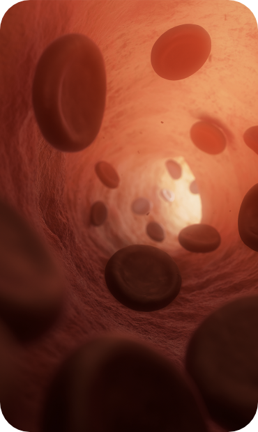 Bloodstream